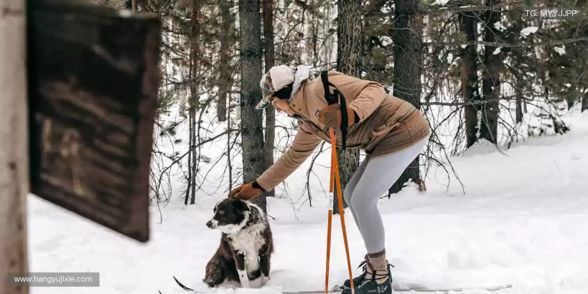 🌟🎮 周边精品，彰显热爱！